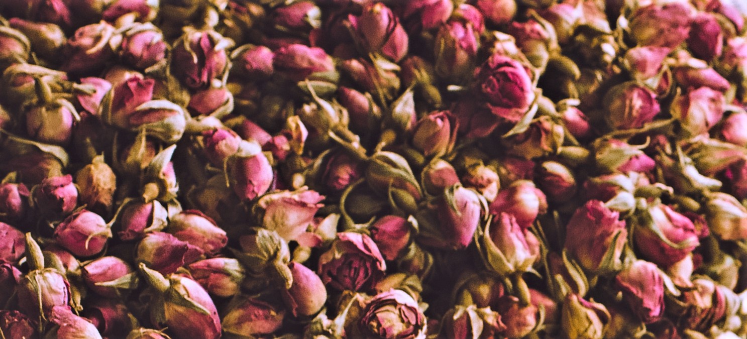 dried english roses