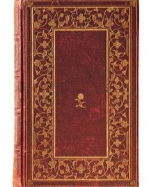 Old red book (blank)