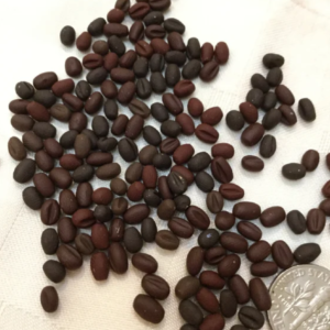 Tiniest Espresso Beans